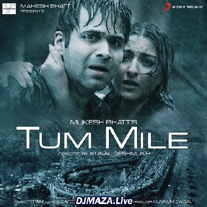 Dil Ibaadat - Tum Mile