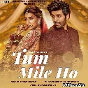 Tum Mile Ho - Prince Pratap