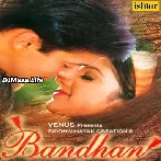 Ye Bandhan Dilo Ke Bandhan