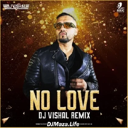 No Love (Remix) - DJ Vishal