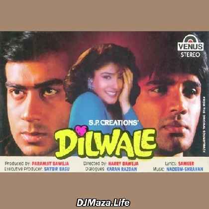Jeeta Tha Jiske Liye - Dilwale