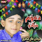 Aamna Ka Laal Aaya