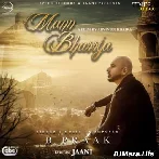 Mann Bharya
