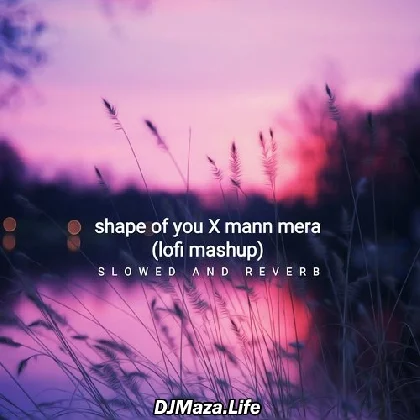 Shape of You X Mann Mera (Lofi Mashup) - Slowed and Reverb
