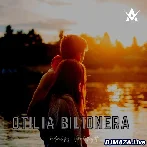 Otilia Billionera - Slowed and Reverb