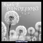 Dandelions - Slowed Reverb