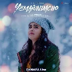 Yemaiundacho