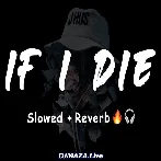 If I Die Slowed