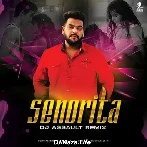 Senorita (Remix) - DJ Assault