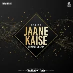 Jaane Kaise (Remix) - Raqeeb - SNWIKSHK