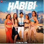 Habibi - Shivani Paliwal