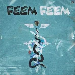 Feem Feem - Sardar Khehra