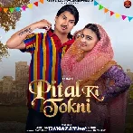 Pital Ki Tokni - Amit Saini Rohtakiya