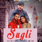 Sugli - Vishvajeet Choudhary