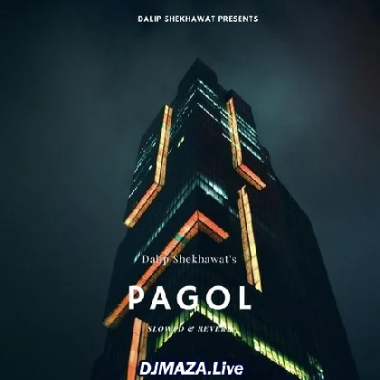 Pagol Slowed Reverb