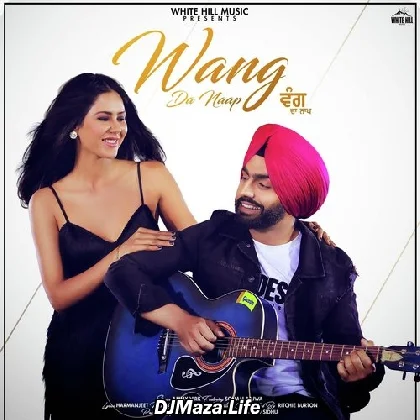 Wang Da Naap - Ammy Virk