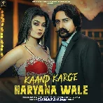 Kaand Karge Haryana Wale - Kaabil