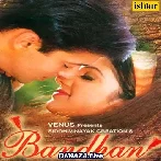 Jinki Hoti Hai Behna