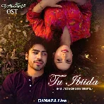 Muhabbat Gumshuda Meri Ost