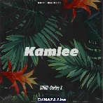 Kamlee Ji Naa Puchdi