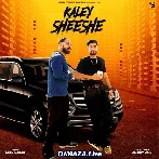 Kaley Sheshe - Addy Nagar