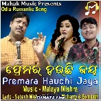 Sapana Na Asunu Odia