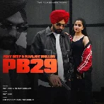 PB29