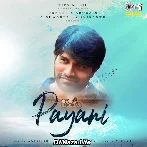 Payani - Anirudh Ravichander