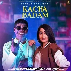 Kacha Badam - Bhuban Badyakar ft Amit Dhull