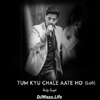 Tum Kyu Chale Aate Ho