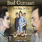 Hue Jo Badguman Hum To Kya Kare