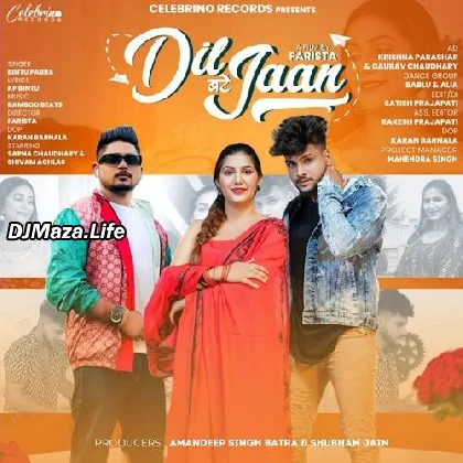Dil Batte Jaan - Bintu Pabra