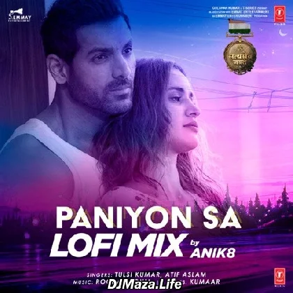 Paniyon Sa Lofi Mix - Anik8