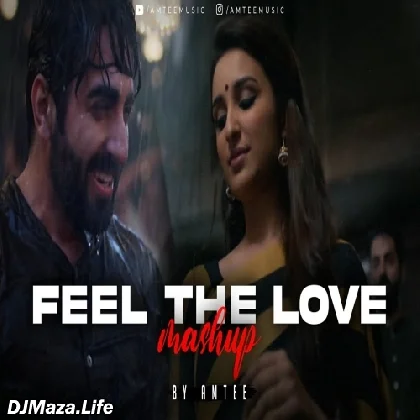 Feel The Love Mashup - Amtee